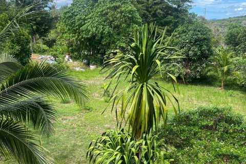 Terrain à Pa Klok, Thaïlande 1234 m2 № 135477 - photo 5