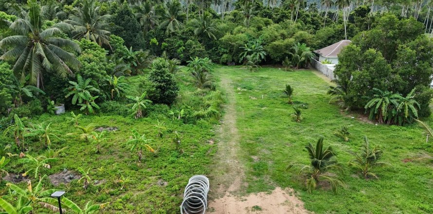 Terrain à Ko Samui, Thaïlande 1600 m2 № 154767
