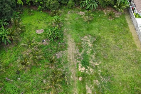 Terrain à Ko Samui, Thaïlande 1600 m2 № 154767 - photo 4