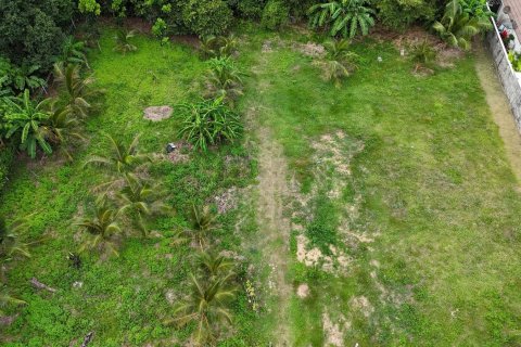 Terrain à Ko Samui, Thaïlande 1600 m2 № 154767 - photo 6