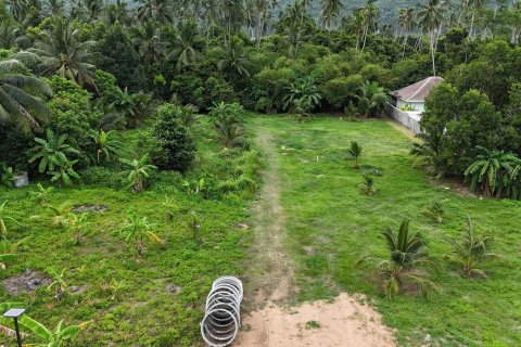 Terrain à Ko Samui, Thaïlande 1600 m2 № 154767 - photo 5