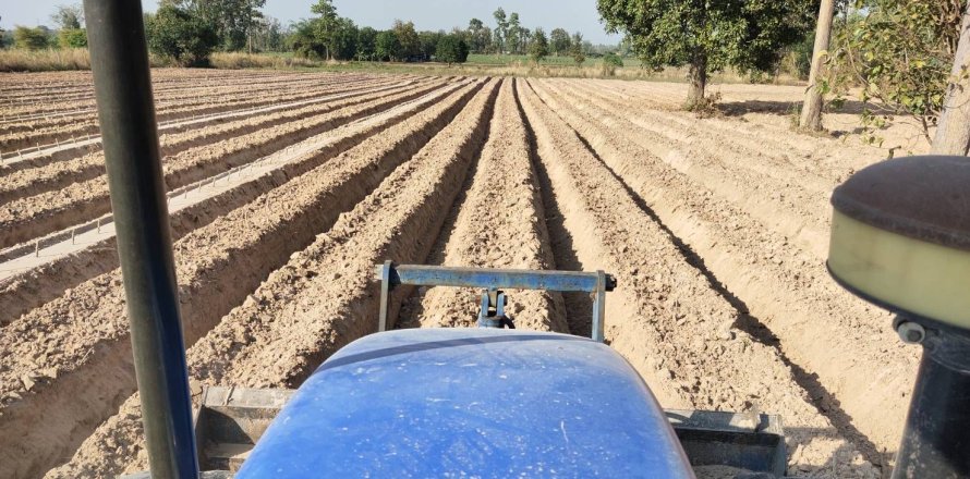 Land in Khon Kaen, Thailand 116800 sq.m. № 172109