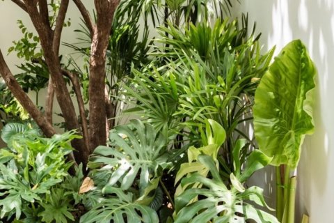 Condo à Bangkok, Thaïlande, 4 chambres  № 157489 - photo 26