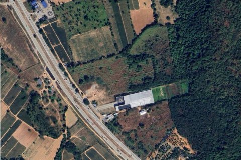 Terrain à Bang Lamung, Thaïlande № 114563 - photo 2