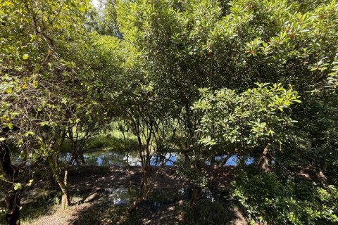 House in Chiang Mai, Thailand 4 bedrooms № 149645 - photo 19