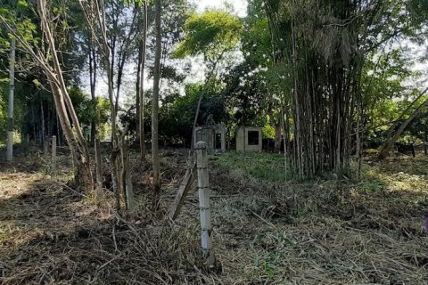 Land in San Sai, Thailand № 205612