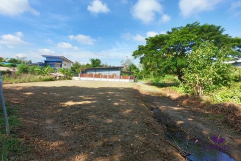Land in Chiang Mai, Thailand № 205613 - photo 5