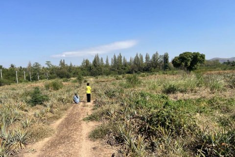 Terrain à Hua Hin, Thaïlande № 114550 - photo 7