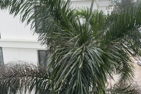 Studio à Pattaya, Thaïlande № 134179 - photo 27