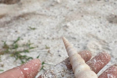 Земельный участок в Хуа Хине, Таиланд 1600м2 № 156971 - фото 3