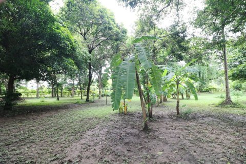 Земельный участок в Лейе, Таиланд 28425.6м2  № 138198 - фото 29