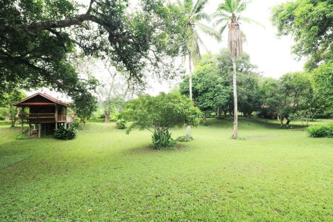 Земельный участок в Лейе, Таиланд 28425.6м2  № 138198 - фото 23