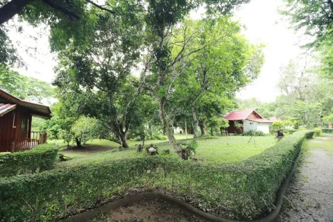 Земельный участок в Лейе, Таиланд 28425.6м2  № 138198 - фото 14