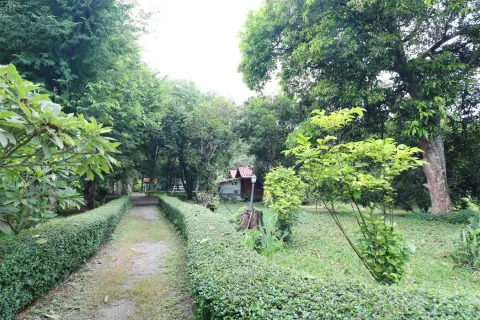 Земельный участок в Лейе, Таиланд 28425.6м2  № 138198 - фото 15