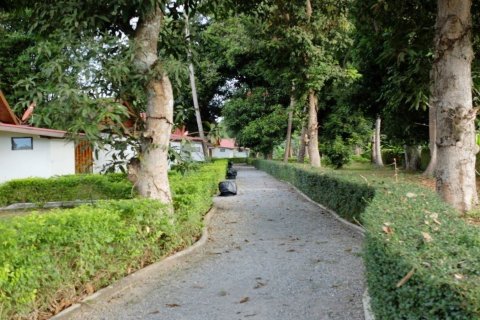 Terrain à Loei, Thaïlande 28425.6 m2 № 138198 - photo 8