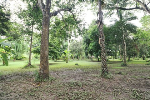 Земельный участок в Лейе, Таиланд 28425.6м2  № 138198 - фото 28