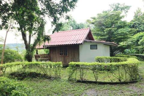 Земельный участок в Лейе, Таиланд 28425.6м2  № 138198 - фото 17