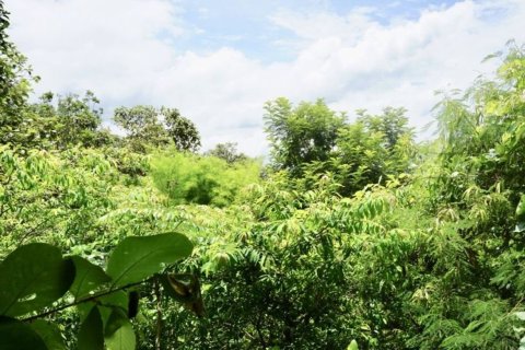 House in Chiang Mai, Thailand 3 bedrooms № 149626 - photo 12