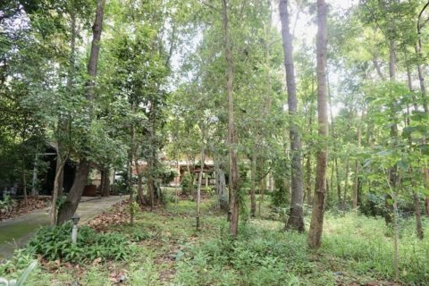 House in Chiang Mai, Thailand 3 bedrooms № 149626 - photo 22