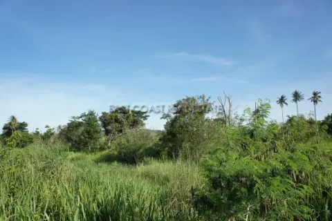Terreno en Pattaya, Tailandia № 213636 - foto 8