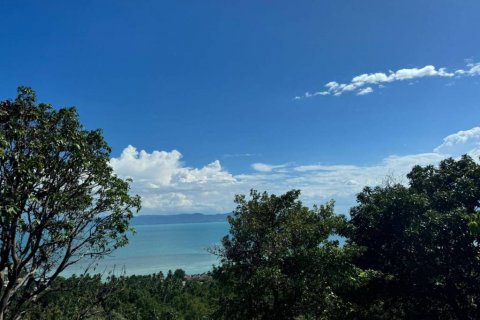 Земельный участок в Сураттхани, Таиланд  № 115406 - фото 6