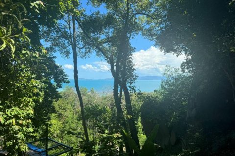 Земельный участок в Сураттхани, Таиланд  № 115406 - фото 7