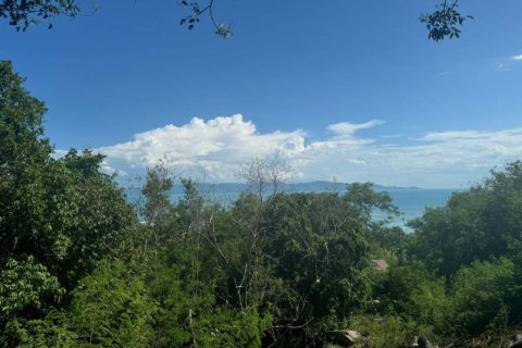 Земельный участок в Сураттхани, Таиланд  № 115406 - фото 4