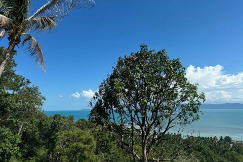 Земельный участок в Сураттхани, Таиланд  № 115406 - фото 8