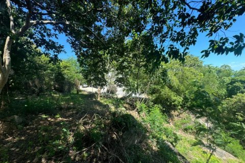 Земельный участок в Сураттхани, Таиланд  № 115406 - фото 3