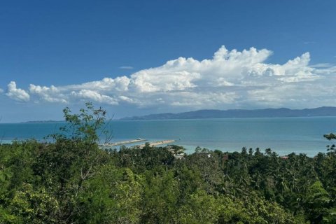 Земельный участок в Сураттхани, Таиланд  № 115406 - фото 1