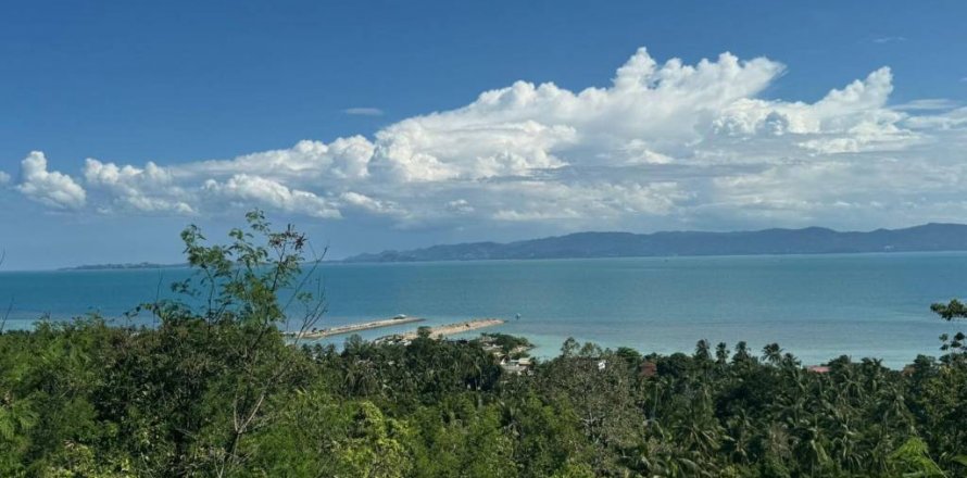 Земельный участок в Сураттхани, Таиланд  № 115406