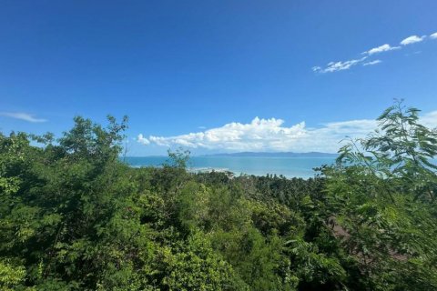 Земельный участок в Сураттхани, Таиланд  № 115406 - фото 2