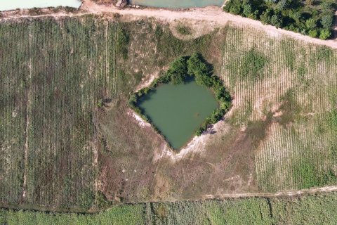 Terrain à Mukdahan, Thaïlande № 168542 - photo 4