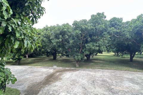 House in Hua Hin, Thailand 5 bedrooms № 163381 - photo 10