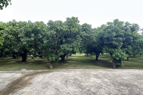 House in Hua Hin, Thailand 5 bedrooms № 163381 - photo 9