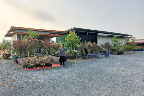Terrain à Suphanburi, Thaïlande 4800 m2 № 171807 - photo 9