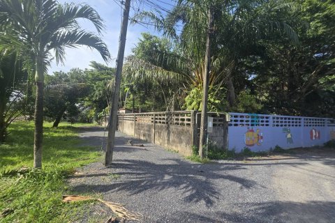 Земельный участок в Пхукете, Таиланд 3195.2м2  № 147618 - фото 9