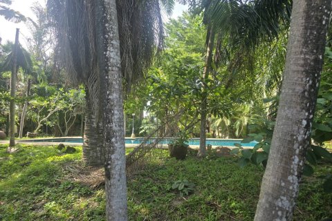 Земельный участок в Пхукете, Таиланд 3195.2м2  № 147618 - фото 5