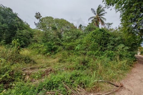 Земельный участок в Самуи, Таиланд 6800м2  № 135442 - фото 6