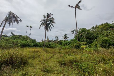 Земельный участок в Самуи, Таиланд 6800м2  № 135442 - фото 11
