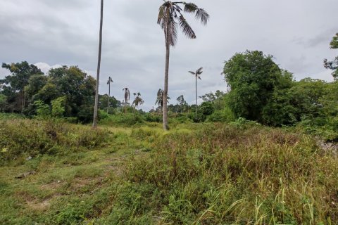 Земельный участок в Самуи, Таиланд 6800м2  № 135442 - фото 3