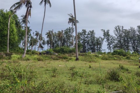 Земельный участок в Самуи, Таиланд 6800м2  № 135442 - фото 1