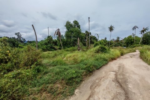 Земельный участок в Самуи, Таиланд 6800м2  № 135442 - фото 4
