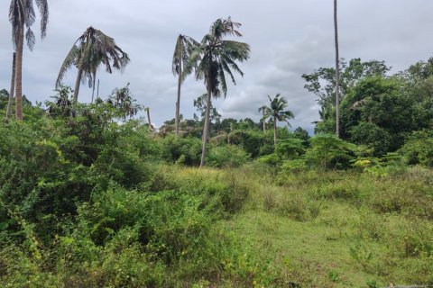 Земельный участок в Самуи, Таиланд 6800м2  № 135442 - фото 9