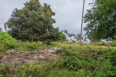 Земельный участок в Самуи, Таиланд 6800м2  № 135442 - фото 8
