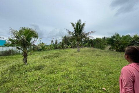 Terrain à Pattaya, Thaïlande 3200 m2 № 135443 - photo 25