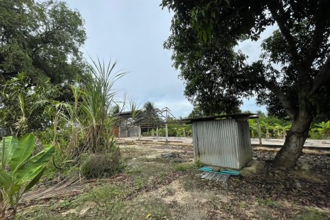 Terrain à Pattaya, Thaïlande 3200 m2 № 135443 - photo 3