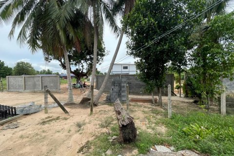 Terrain à Pattaya, Thaïlande 3200 m2 № 135443 - photo 17