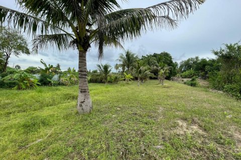 Terrain à Pattaya, Thaïlande 3200 m2 № 135443 - photo 24