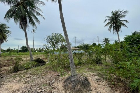 Terrain à Pattaya, Thaïlande 3200 m2 № 135443 - photo 8